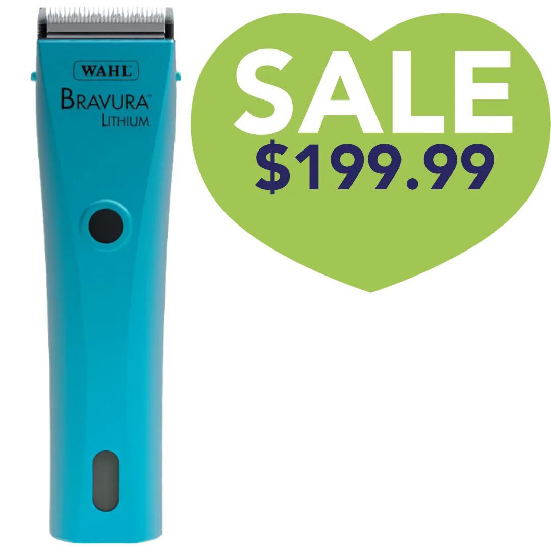 Bravura Lithium Cordless Clipper Turquoise by Wahl