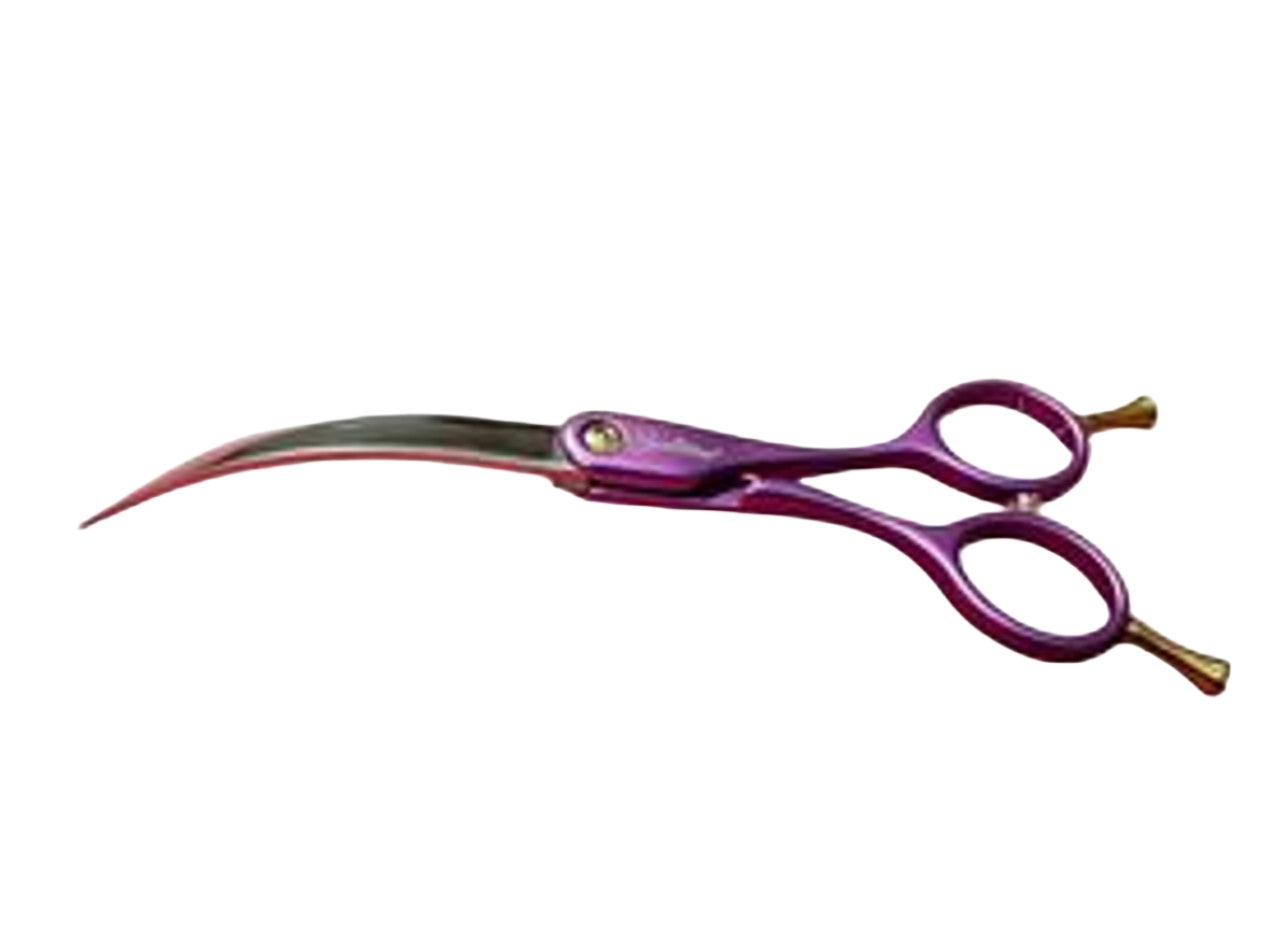 Colibri Super Curved Scissors Amethyst 6.5