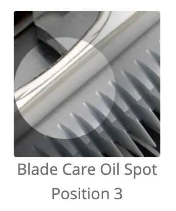 How to Oil a Clipper Blade 