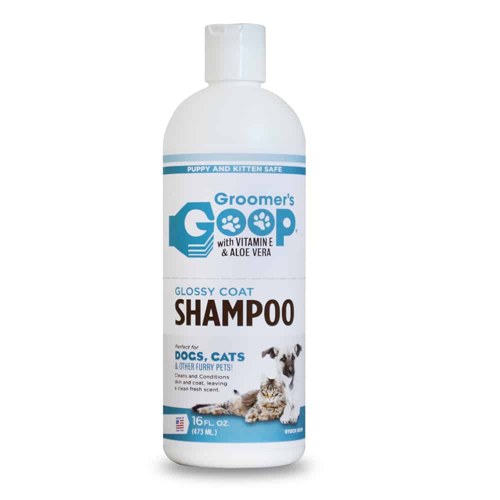 glossy Shampoo