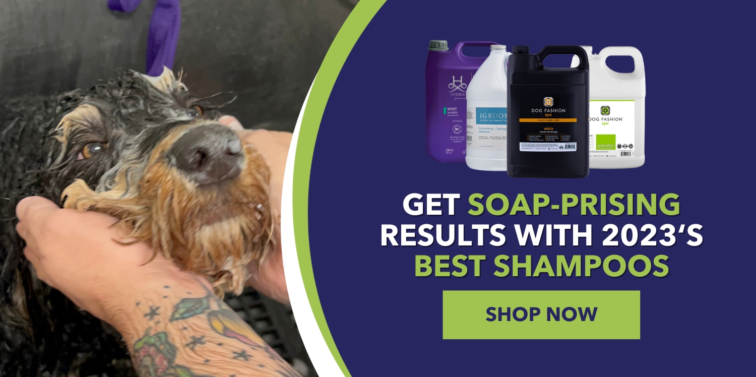 https://www.petstore.direct/wp-content/uploads/2023/12/end-of-the-year-best-shampoos-banner.jpg